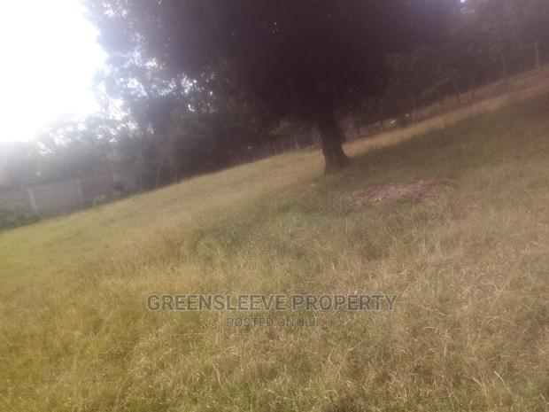 Half Acre for Sell - thumbnail 3