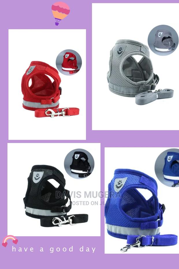 Step-in Vest Dog Harness And Leash Set - thumbnail 4