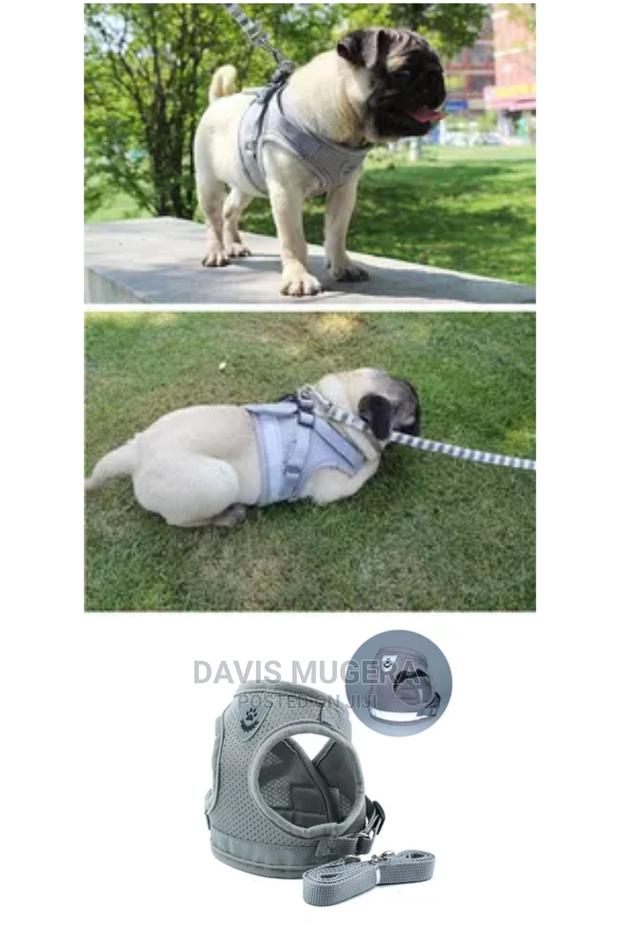 Step-in Vest Dog Harness And Leash Set - thumbnail 3