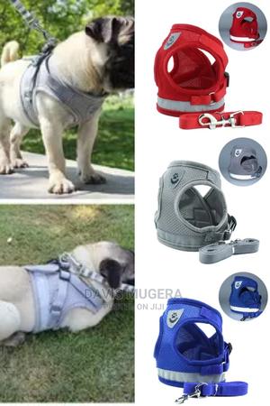 Step-in Vest Dog Harness And Leash Set - thumbnail 2