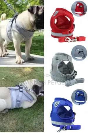 Step-in Vest Dog Harness And Leash Set