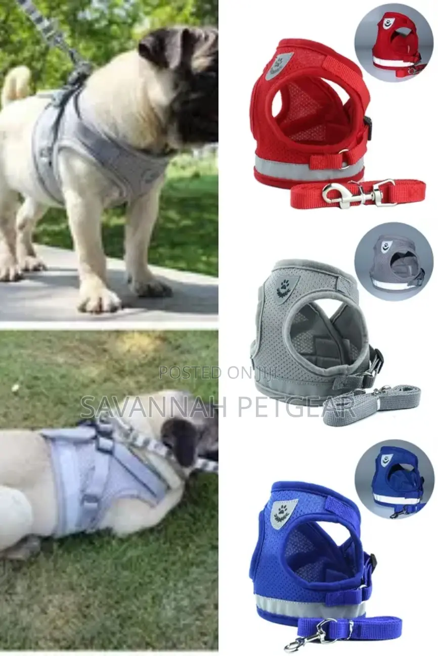 Step-in Vest Dog Harness And Leash Set
