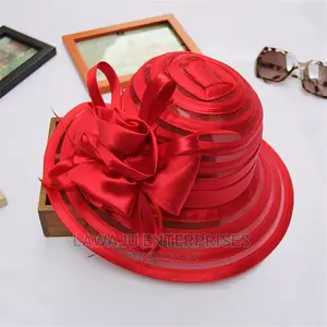 Ladies Elegant Stylish Hats