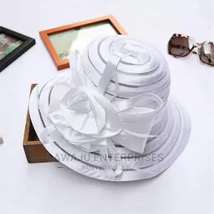 Ladies Elegant Stylish Hats