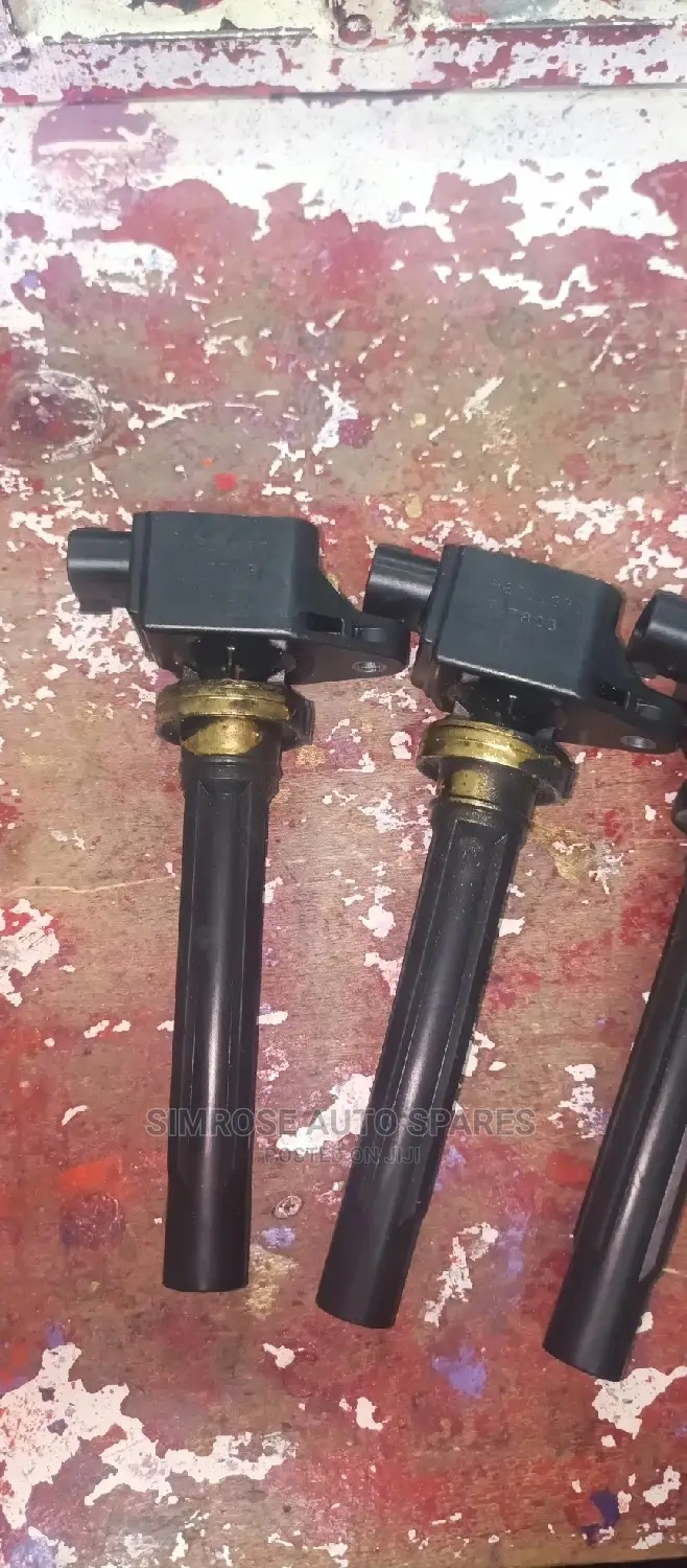Suzuki Escudo Ignition Coils.