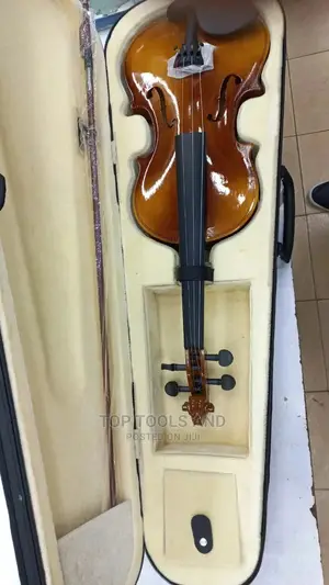 Violin / Fiddle
