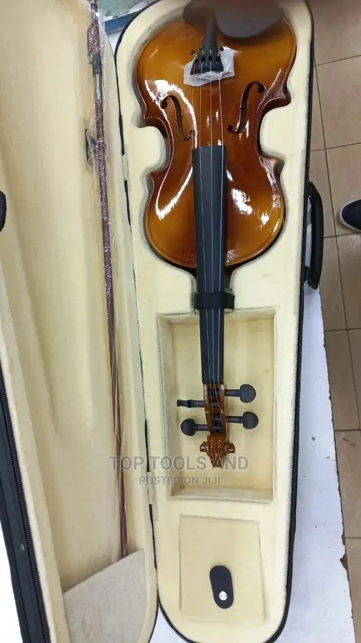 Violin / Fiddle