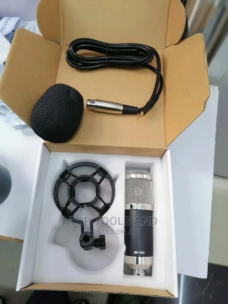 Em800 Studio Condenser Microphone