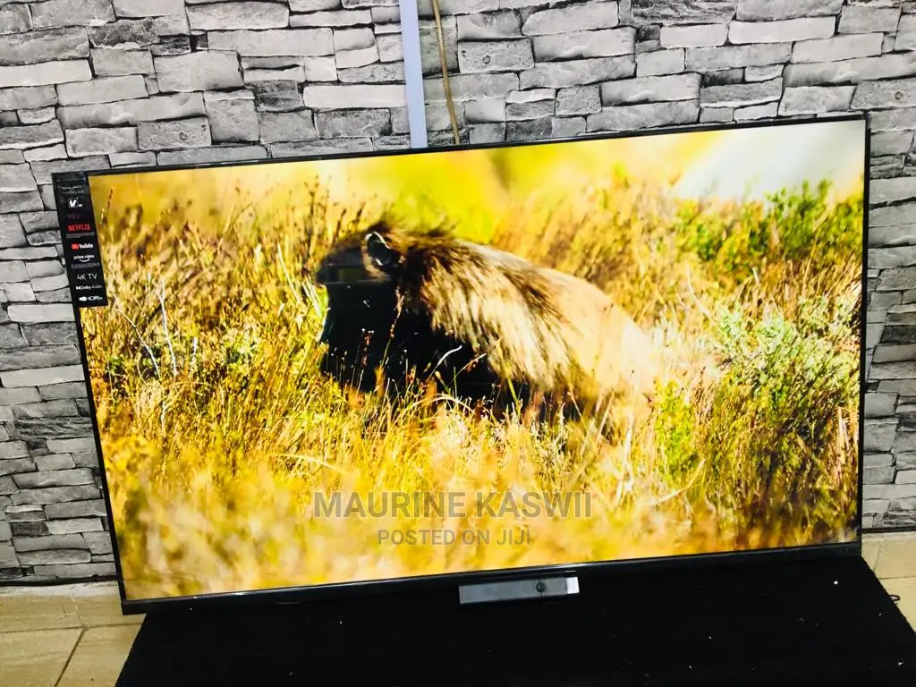 4K Vision PLUS 55 Frameless