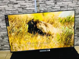 4K Vision PLUS 55 Frameless