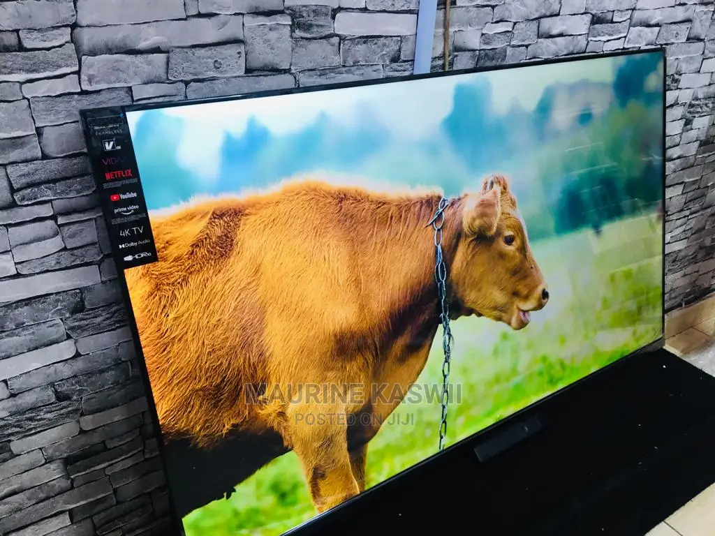 V Series 55 Vision TV Frameless