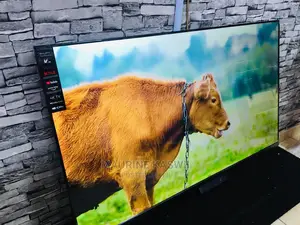 V Series 55 Vision TV Frameless