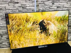 55 Vida Vision PLUS TV + + Wall Mount