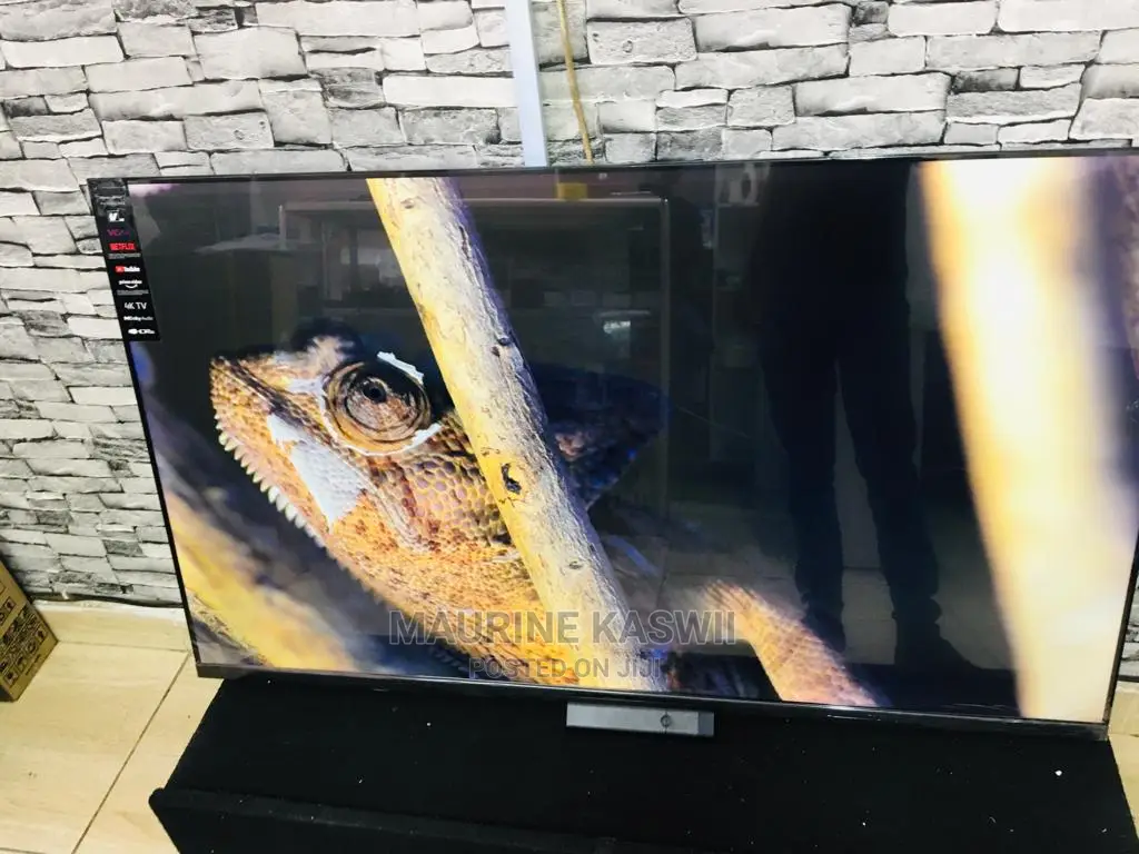 55 Vision Plus New Model Vida