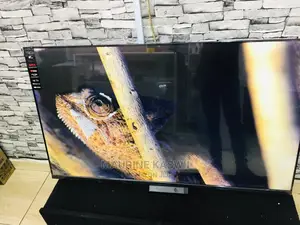 55 Vision Plus New Model Vida