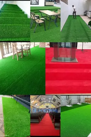 Grass Carpet/Wall to Wall Carpet