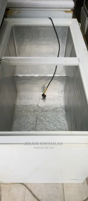 Double Door Freezer