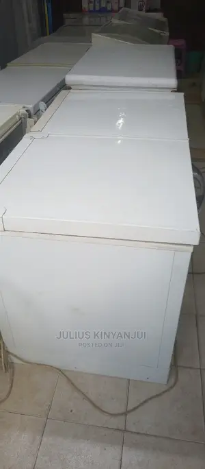 Double Door Freezer