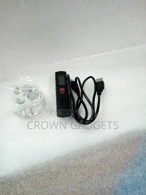 Digital Voice Recorders