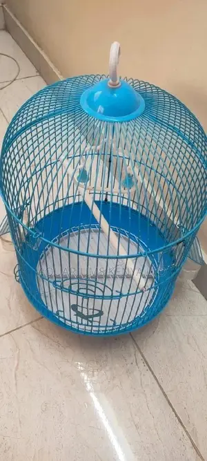 Circular Blue Cage ,Good for Parrot Basking