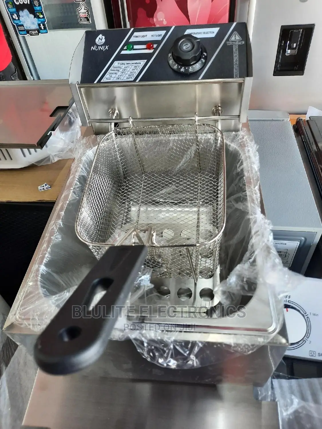 Electric Fryer