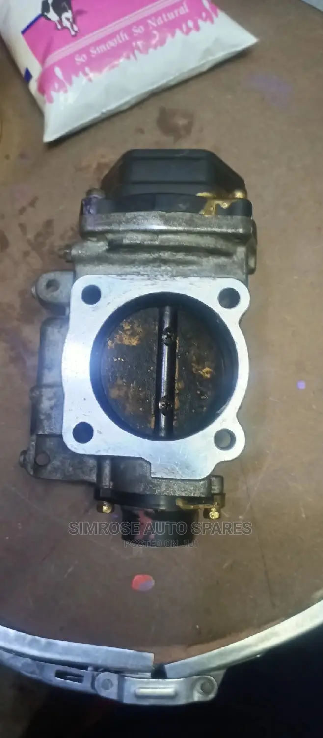 Mitsubishi Shogan Throttle Body.