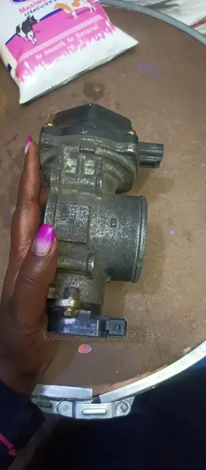 Mitsubishi Shogan Throttle Body.