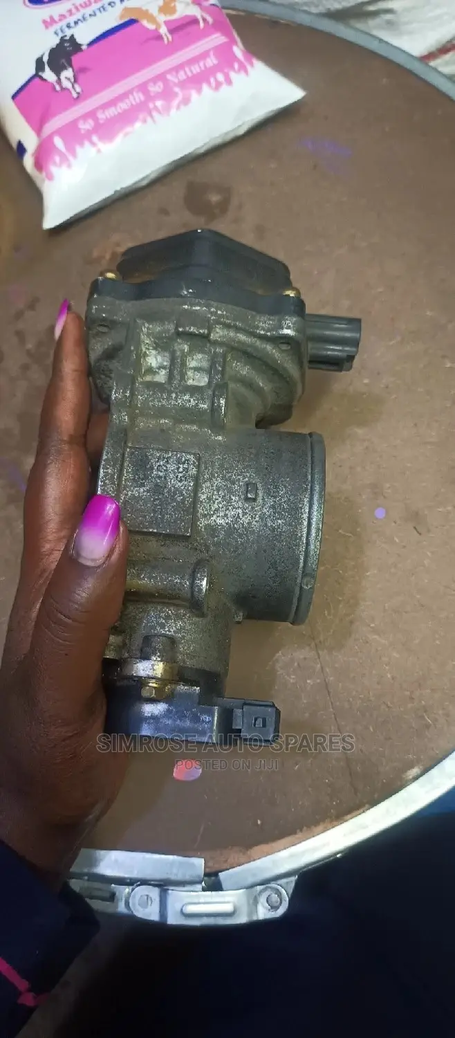 Mitsubishi Shogan Throttle Body.