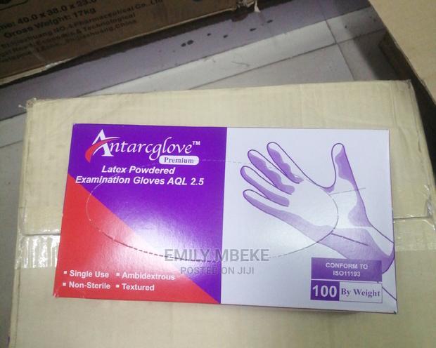 Antarglove Latex Gloves - main view