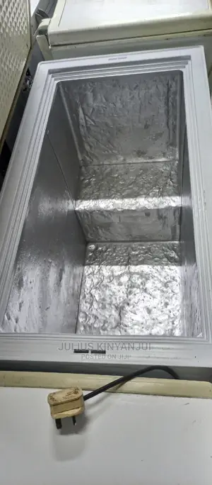 Deep Freezer 312l
