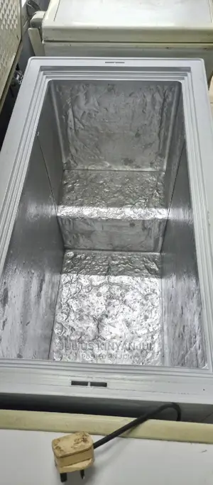Deep Freezer 312l