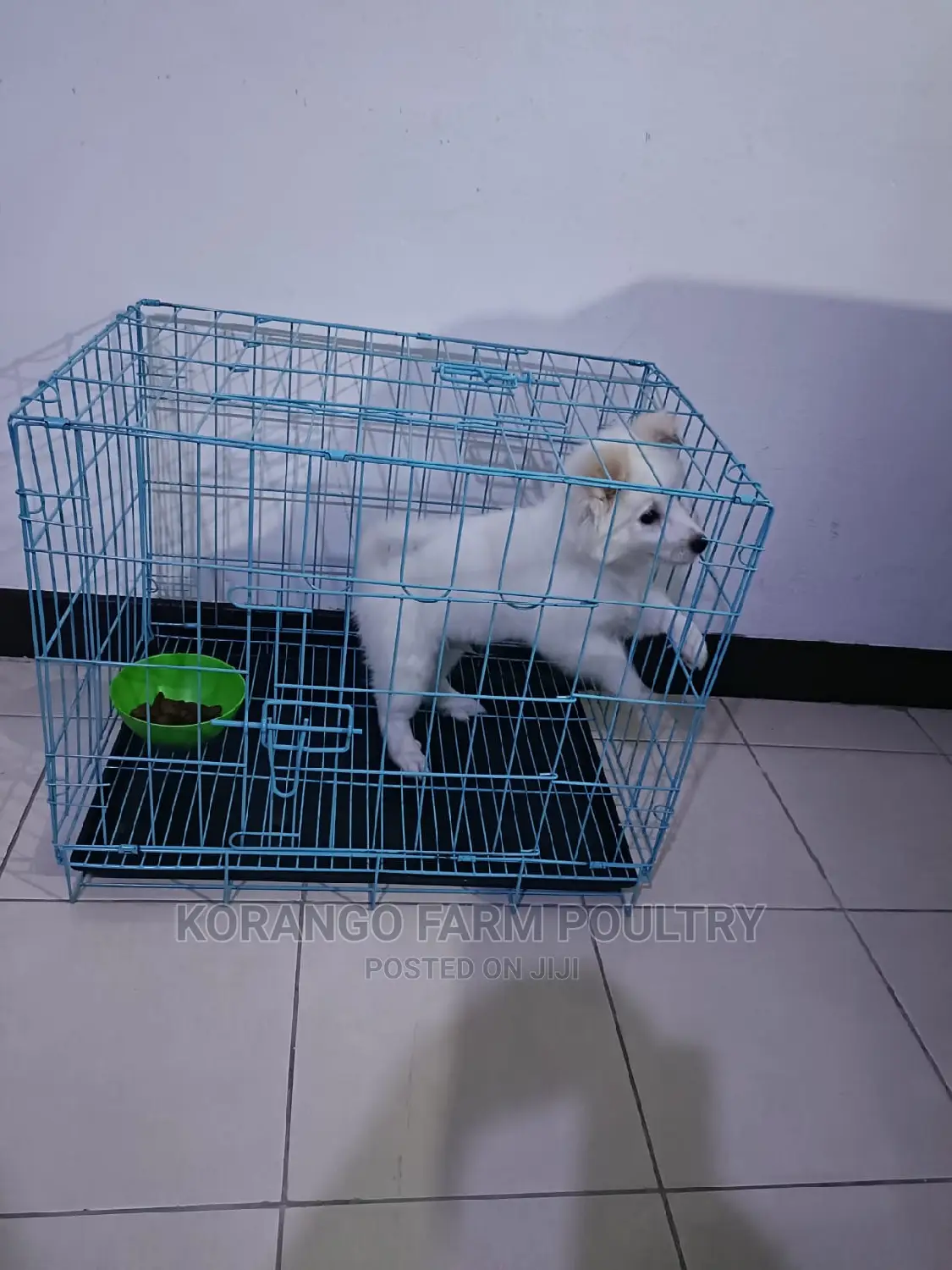Puppies Cages