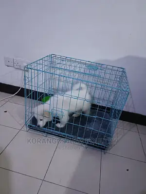 Puppies Cages