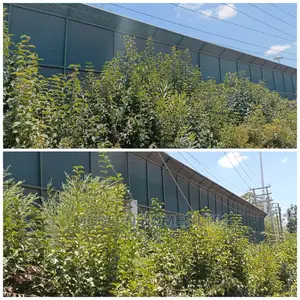 High Jungle Green Privacy Shade Screen