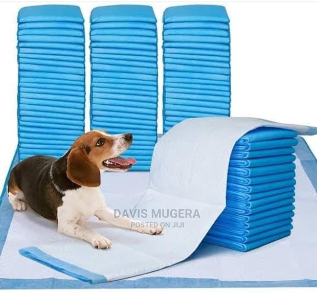 Dog Training Potty Pee Pads - main view