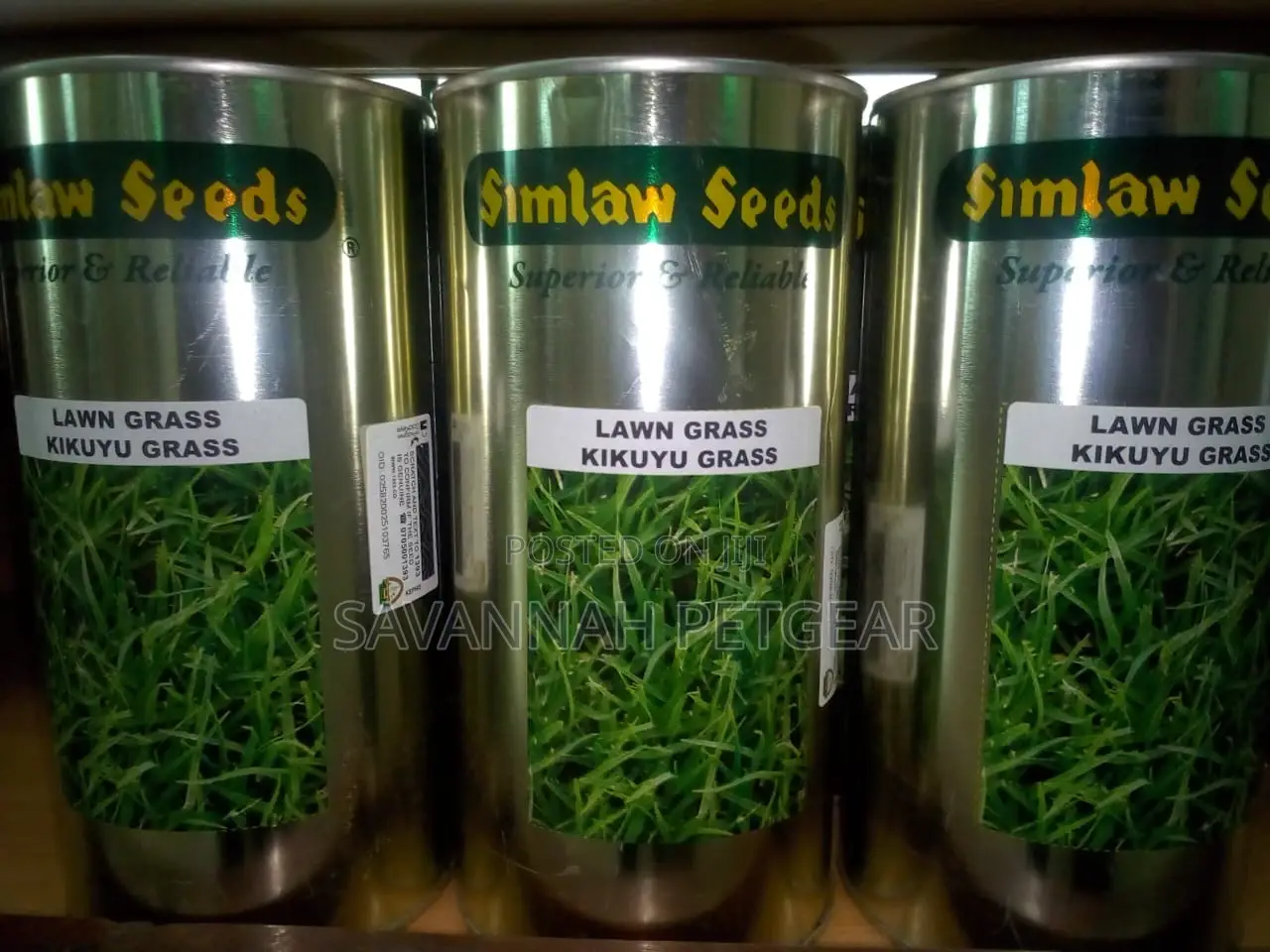 Kikuyu Grass 250G