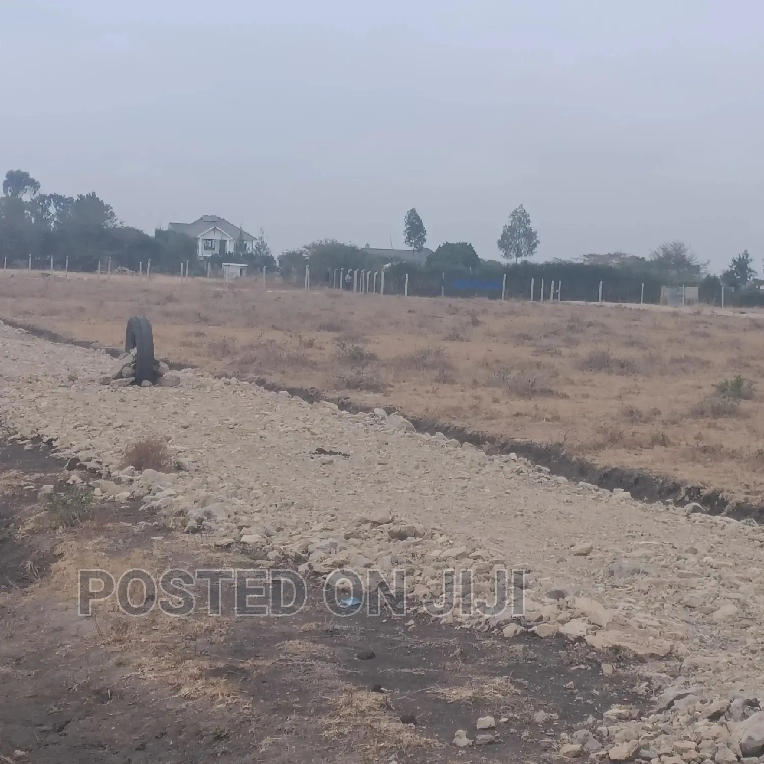 Cheap Plots in Kantafu