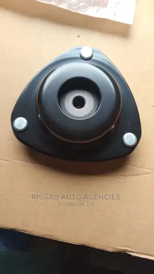 Honda Stream and Cross Road Shock Moulding.