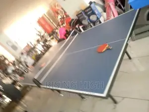 The Best Durable Quality Table Tennis