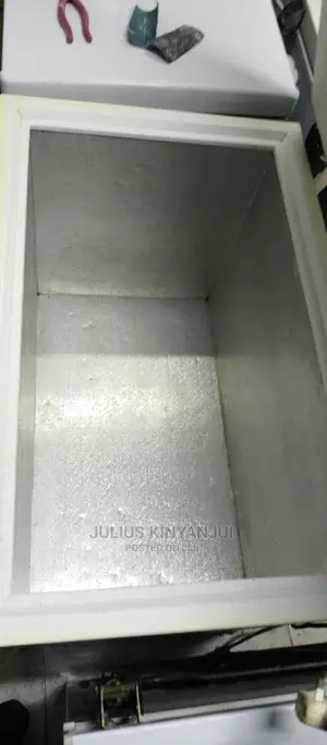 Deep Freezer 250l