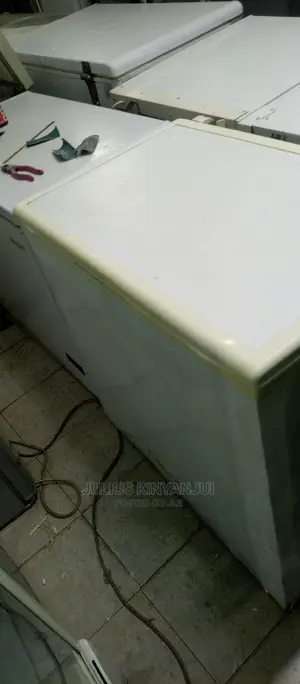 Deep Freezer 250l