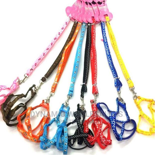 Chiwawa Dog Leash/ Puppy Dog Leash