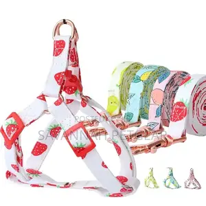 Autumn Fruits Step in Back Clip Dog Harness Leash