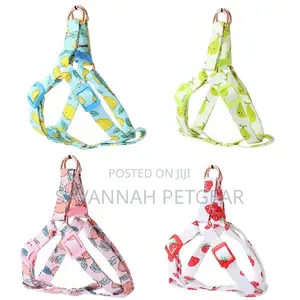 Autumn Fruits Step in Back Clip Dog Harness Leash