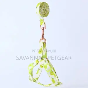 Autumn Fruits Step in Back Clip Dog Harness Leash