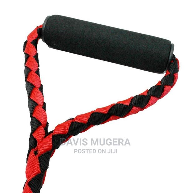 Twisted Dual No-Tangle Double Dog Leash - thumbnail 4