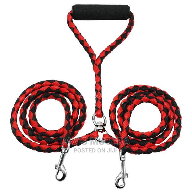 Twisted Dual No-Tangle Double Dog Leash - thumbnail 3
