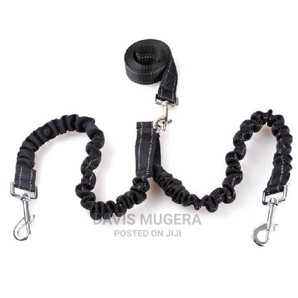 Bungee Double Dog Leash Coupler - main view