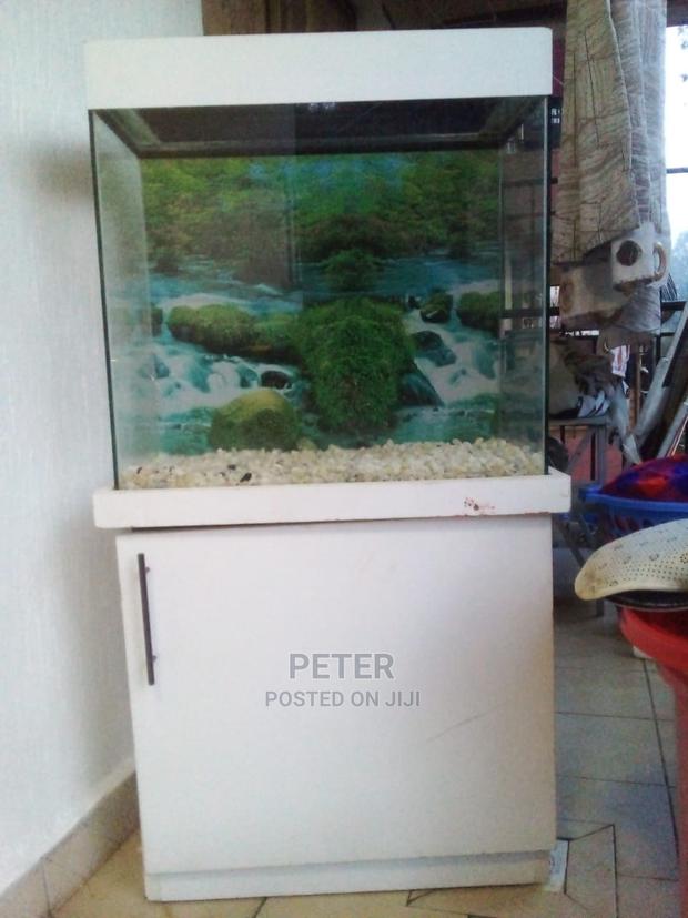 Aqualife Aquarium Store - thumbnail 8