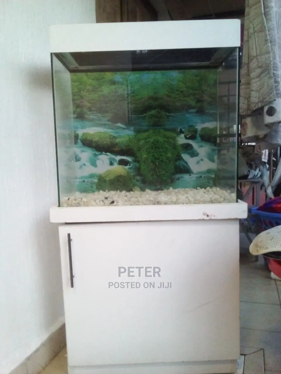 Aqualife Aquarium Store